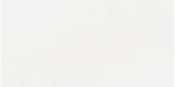 Керамогранит "Уральский Гранит" Палитра (600*300 мм) Белый UF001MR — купить в Миллерово